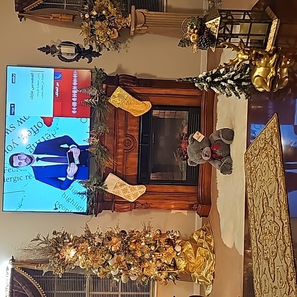 Bear 🐻 - Picture 6 of 6